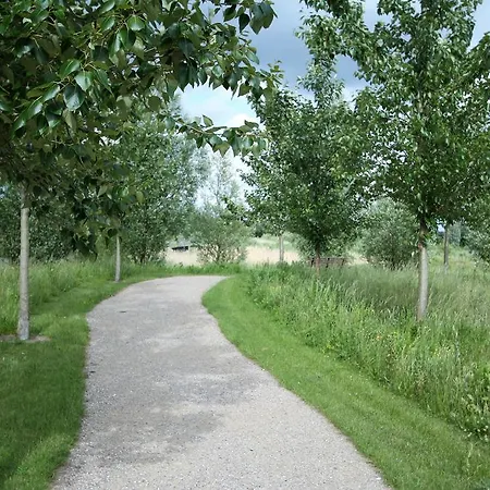 Engsvang